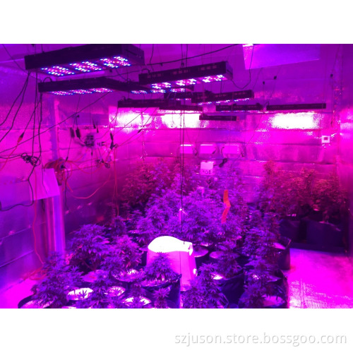 High Power 1000W Full Spectrum LED Grow Lights For Hydroponic Aquaponic Plant Growing